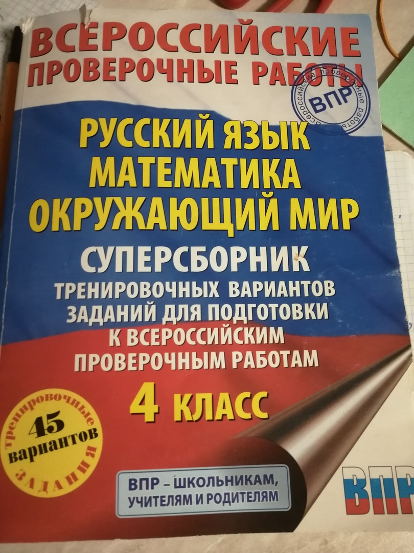 4 класс ВПР. Стоило ли так переживать? | Семья и мои секреты воспитания.  Мать драконов | Дзен