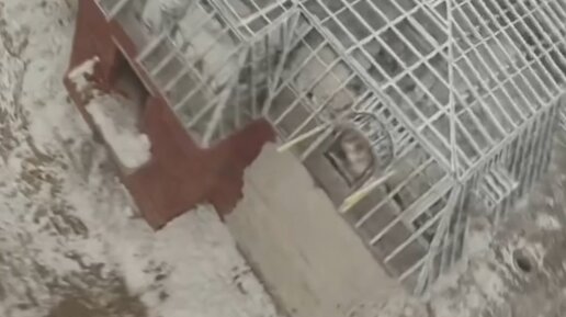 ЛСТК - ФАБРИКА КАРКАСОВ - ЛСТК | Мансарда из ЛСТК - экономичное ...