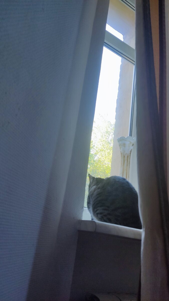 Платон изображает Ждуна))