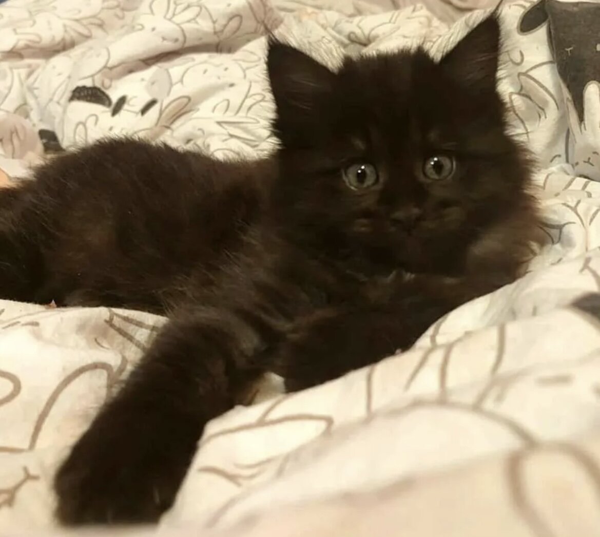 Люся 1,5 месяца