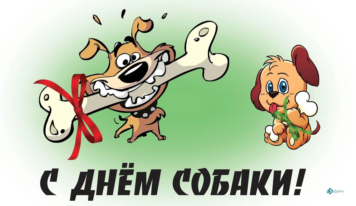График собаки на день Группа помощи бездомным собакам г. Ульяновска: записи сообщества ВКонтакте