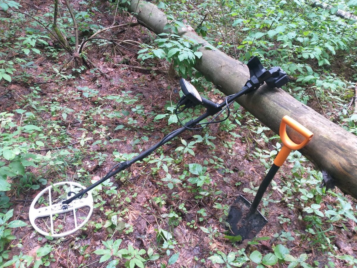 АКА Интроник