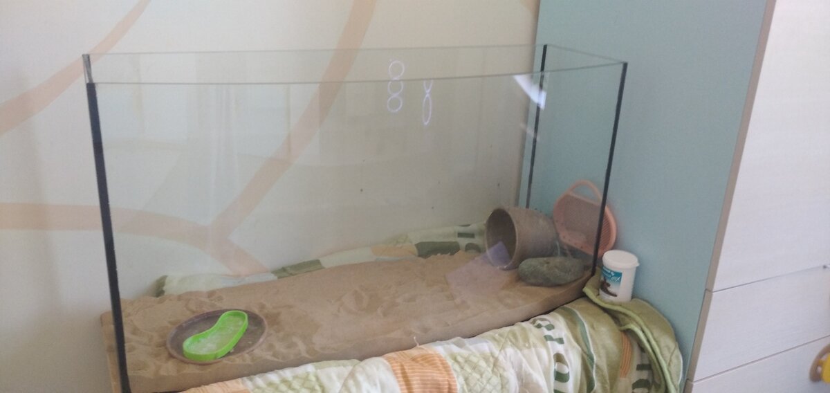 Это террариум моей черепахи Брони 150л на черепаху 3.5 года