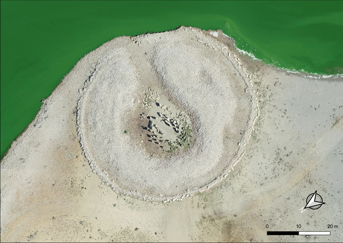 From Wikimedia Commons, the free media repository