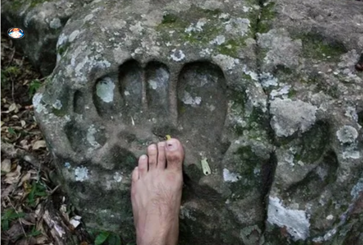 Ведь жизнь на этой планете существует уже 3,5 миллиарда лет! Официальная наука указывает на то, что первые одноклеточные организмы появились около 3,5 миллиардов лет назад, примерно 1 миллиард лет спустя после образования самой Земли.