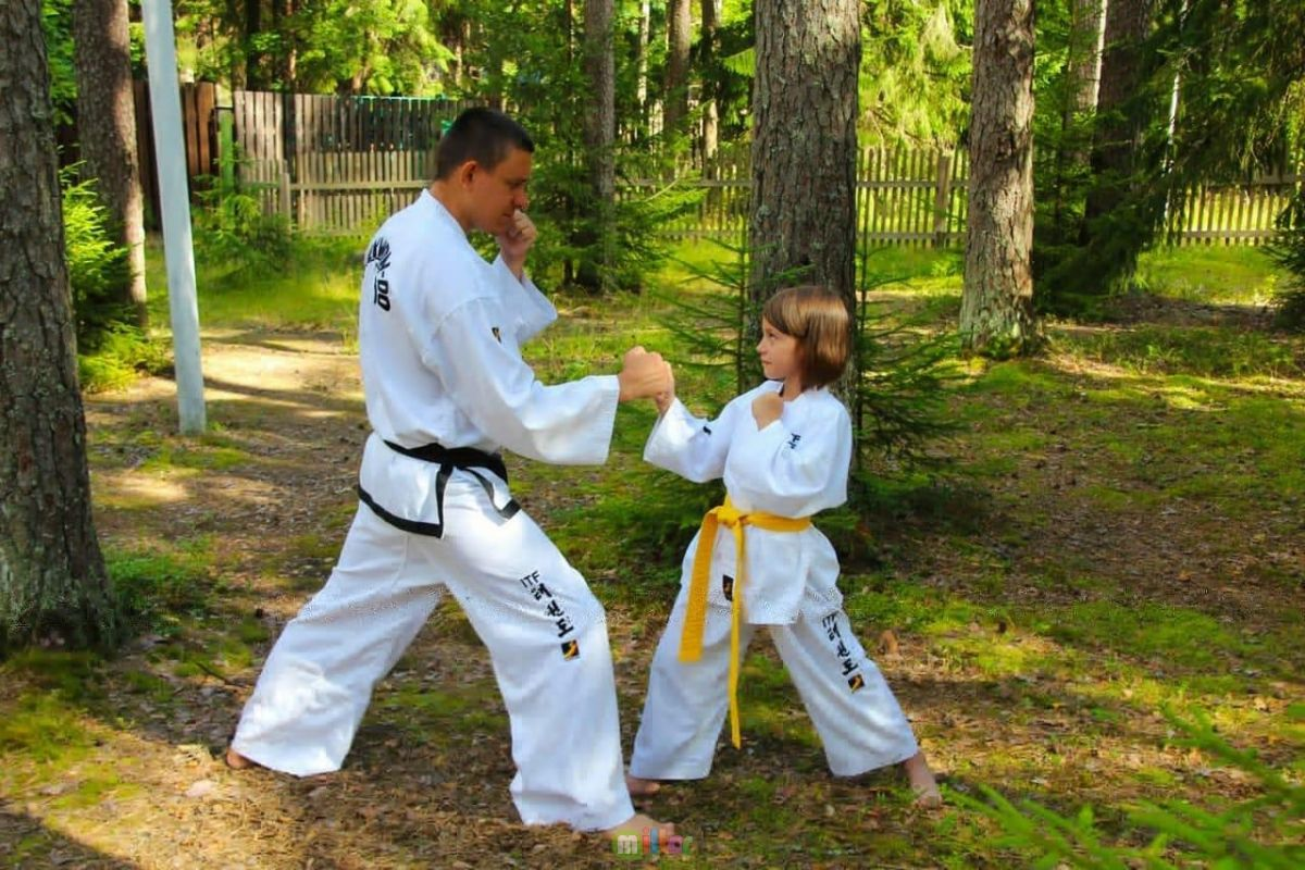 Мой дядя самых честных правил.