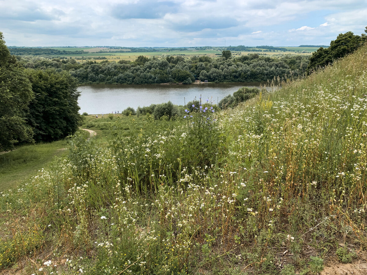 Музей-заповедник В. Поленова расположен в живописном месте, на высоком берегу Оки. Фото автора