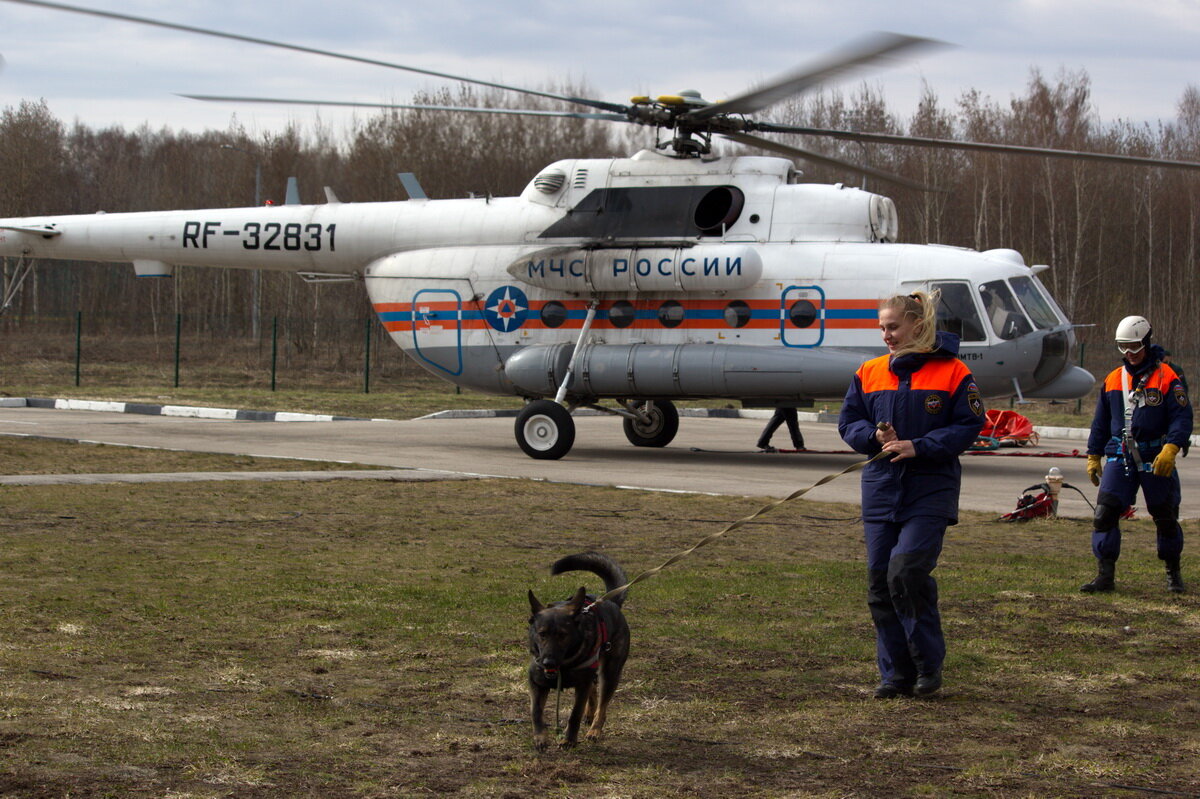 Южный Сахалин вертолет зарплата. Фото вертолет Сахалинский полк. Выставка собак 14 апреля 2024