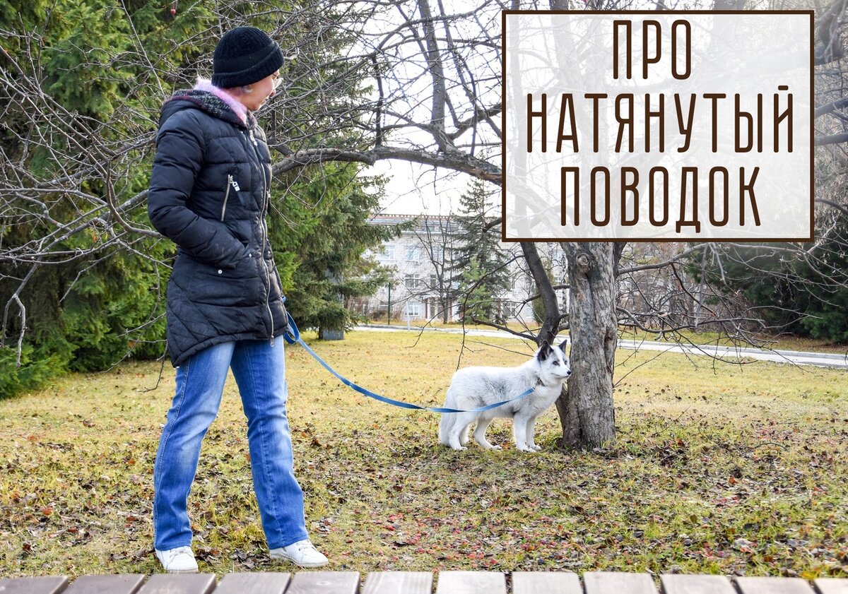 Юлия и Инари