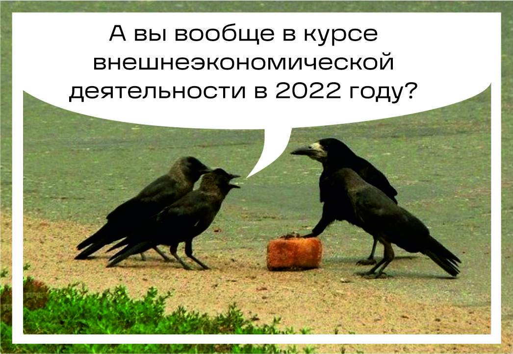 Как организации вести внешнеэкономическую деятельность в нынешних реалиях? 