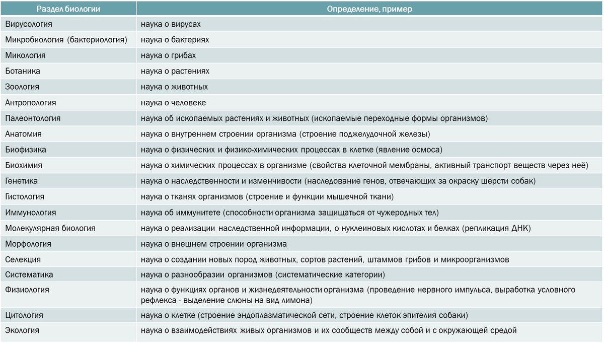 25 линия егэ