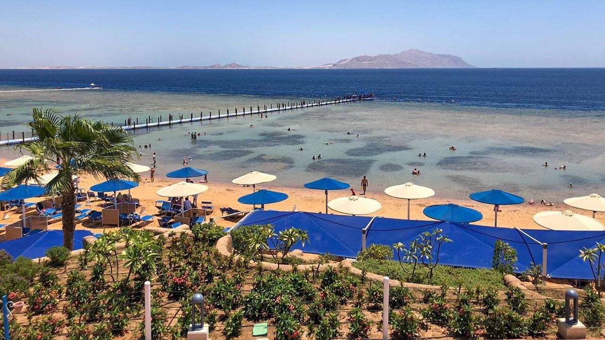    Фото: Ксения Ульянова / АГН Москва