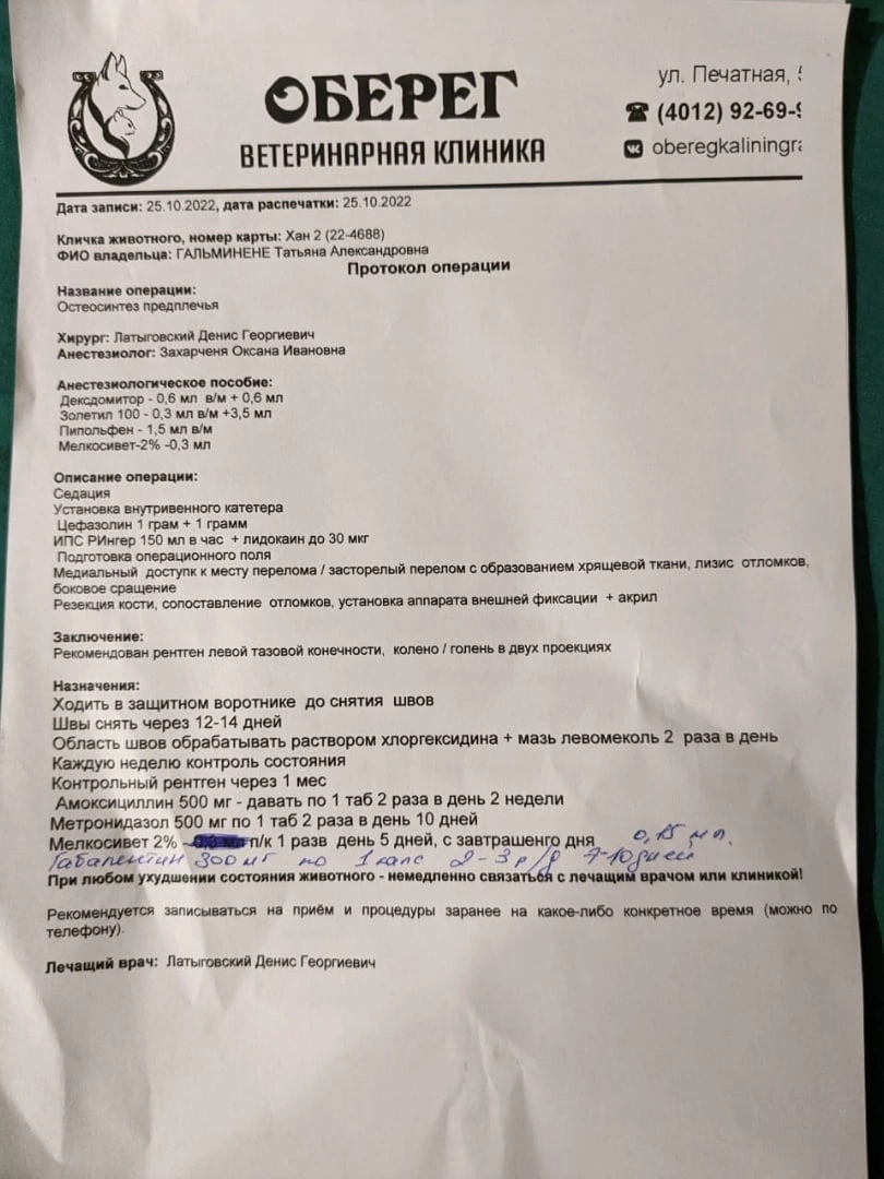 Протокол операции с назначениями