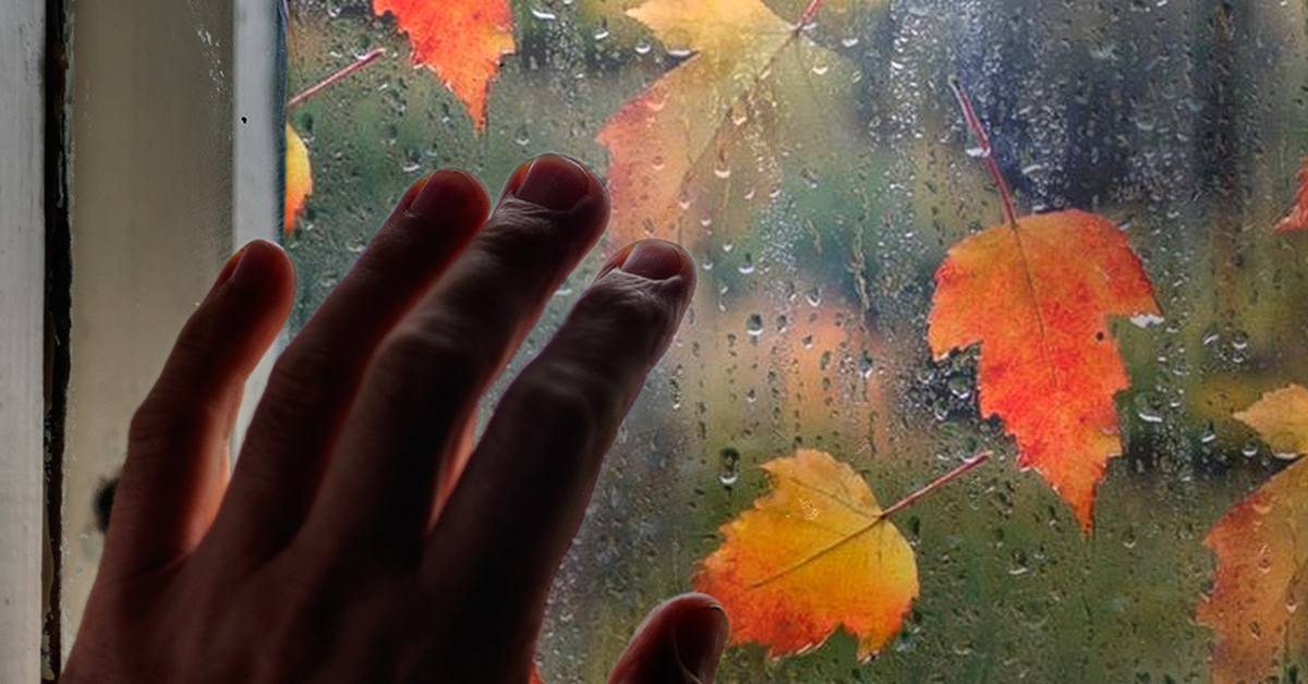 После теплого лета и дождливой осени. Осень дождь за окном. Осень дождь окно. Листья на окна. Осенний лист на стекле.