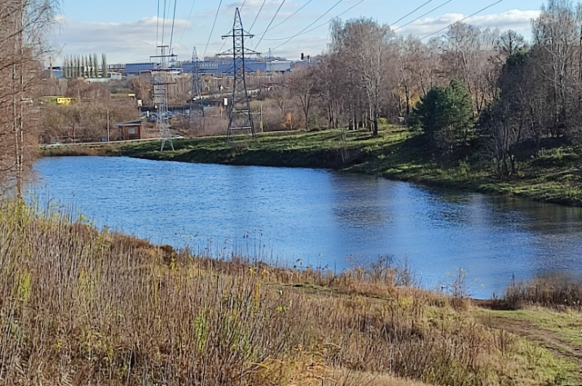    Специалисты обследуют техсостояние плотины в Рогожинском парке Тулы