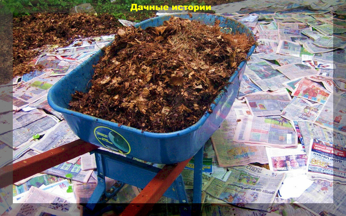 https://vk.com/photo-159774511_457256759