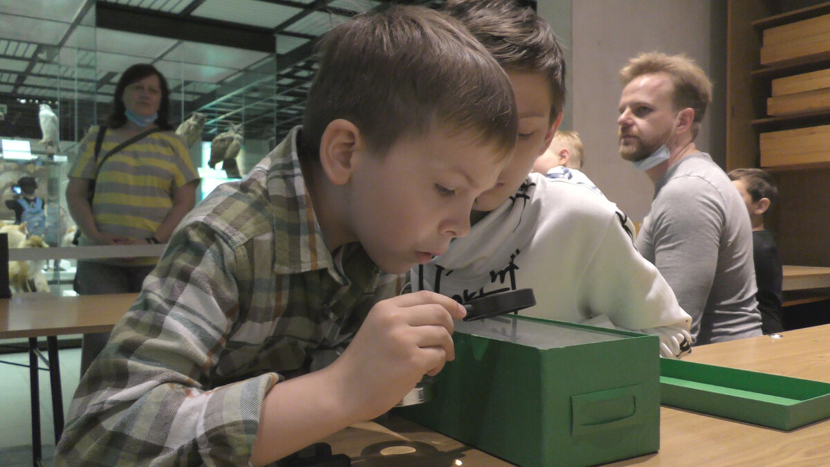 Государственный Дарвиновский музей