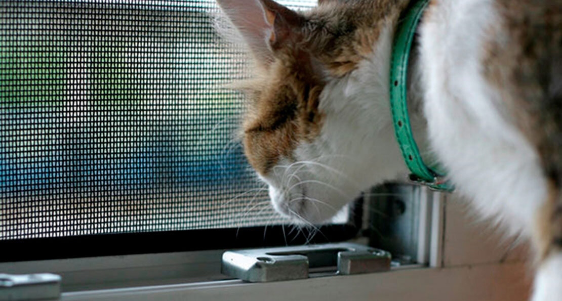 Москитная сетка-«антикошка» отличается повышенной прочностью и гарантирует безопасность животного.