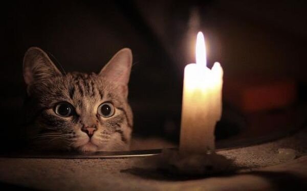 Источник фото: 62info.ru