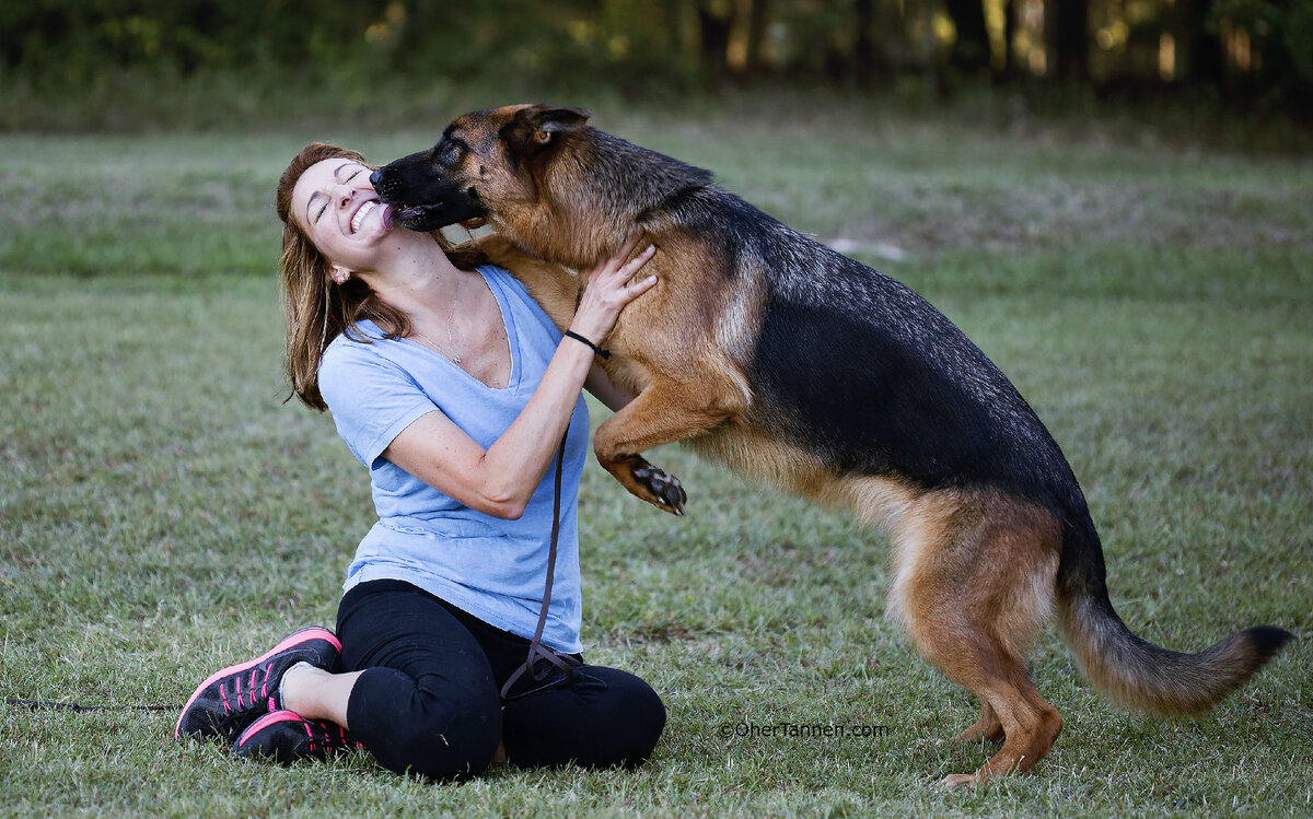 Из открытых источников.