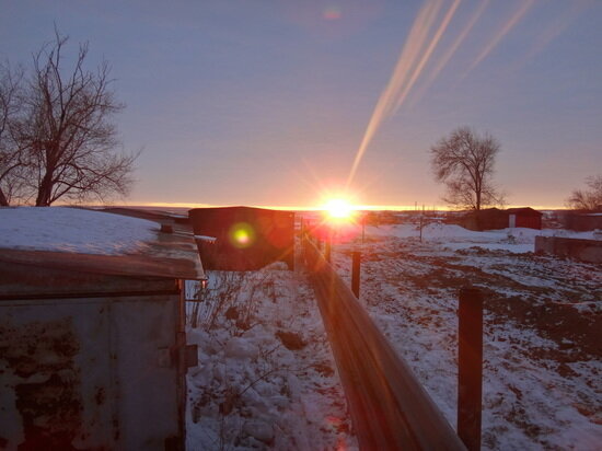    Декабрь в Саратове. Фото: saratov.mk.ru "МК в Саратове"