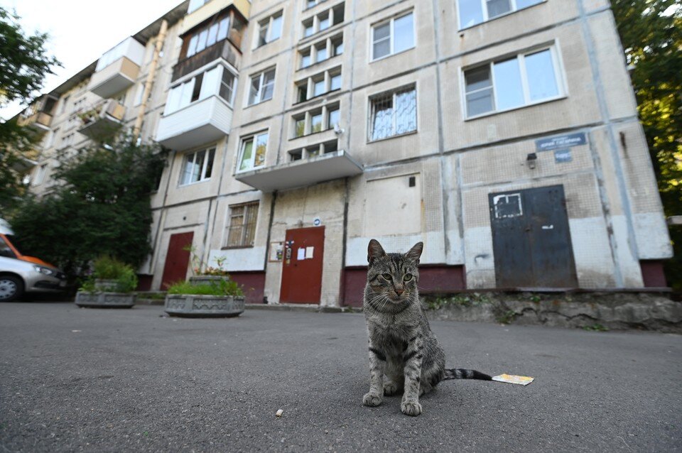     Закон приостановили до января 2024 года. Пока над документом будут думать и работать. Юлия ПЫХАЛОВА