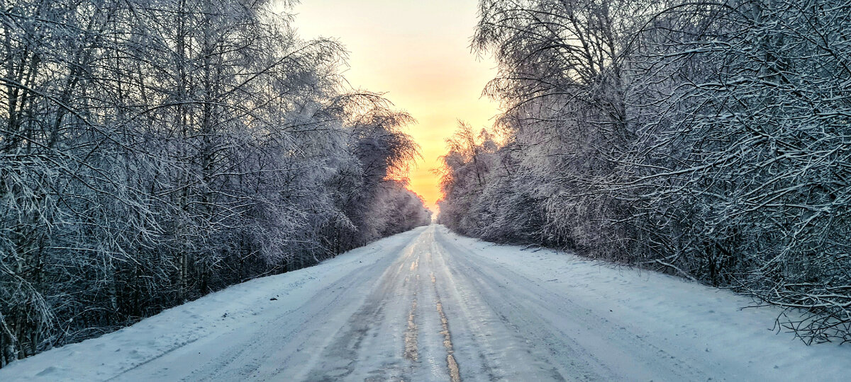 По дороге в цивилизацию