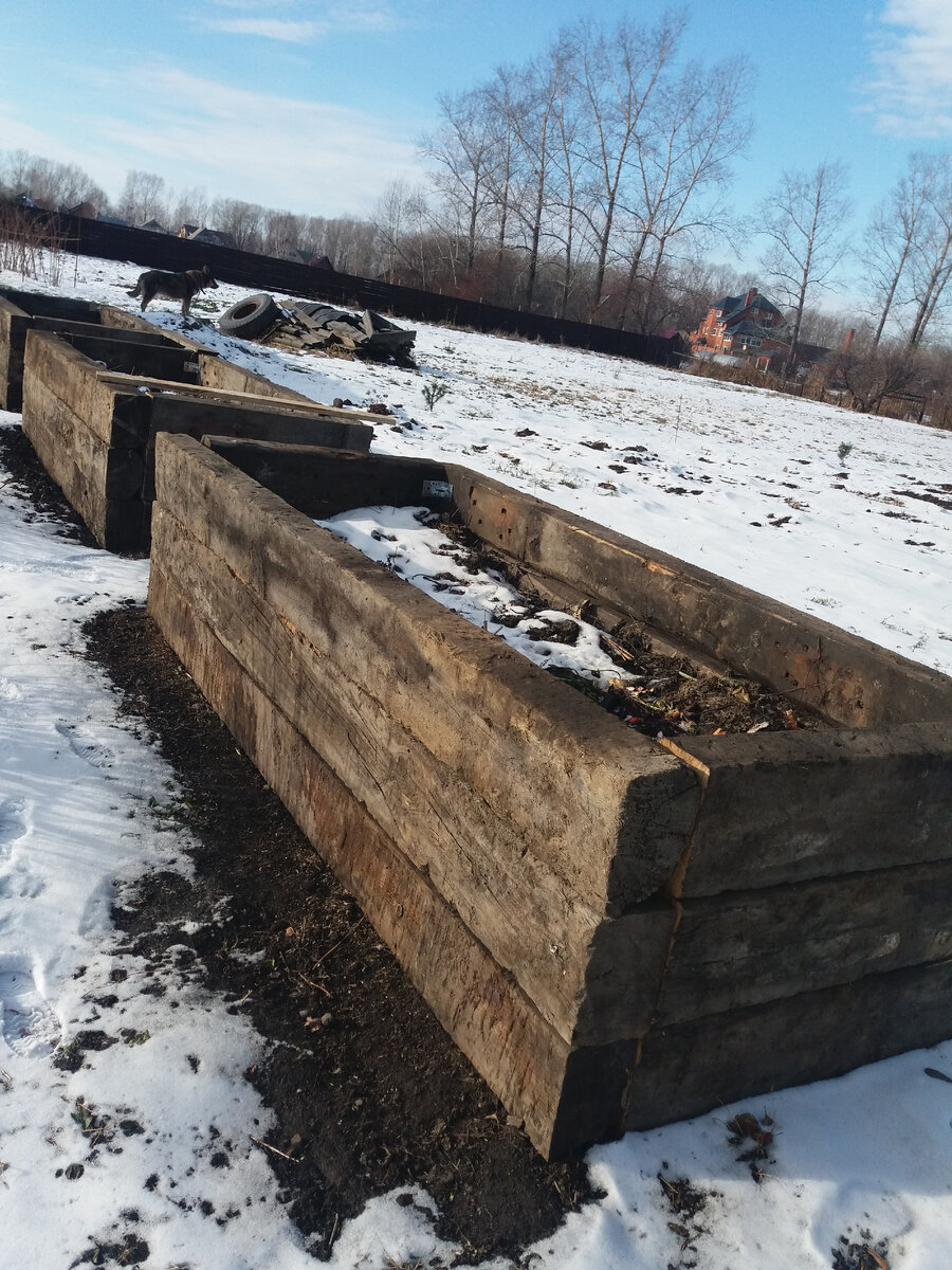 Высокие грядки, в которых складируются и перепревают  растительные остатки, сорняки и пищевые отходы - настоящий рай для дождевых червей и почвенных микроорганизмов в летнее время.