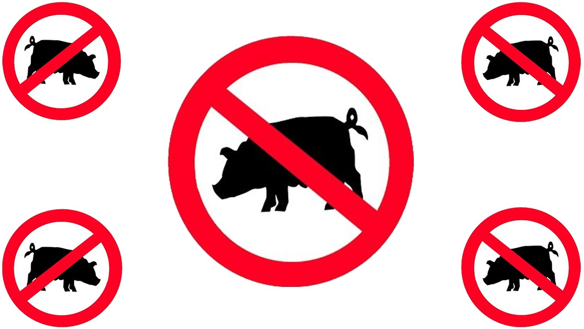 Приму свинину. Свиньям запрещено. Свинья запрет. Перечеркнутая свинья. Запрет свиньи знак.