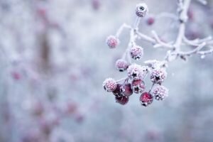   Фото: unsplash.com Ирина Моргунова