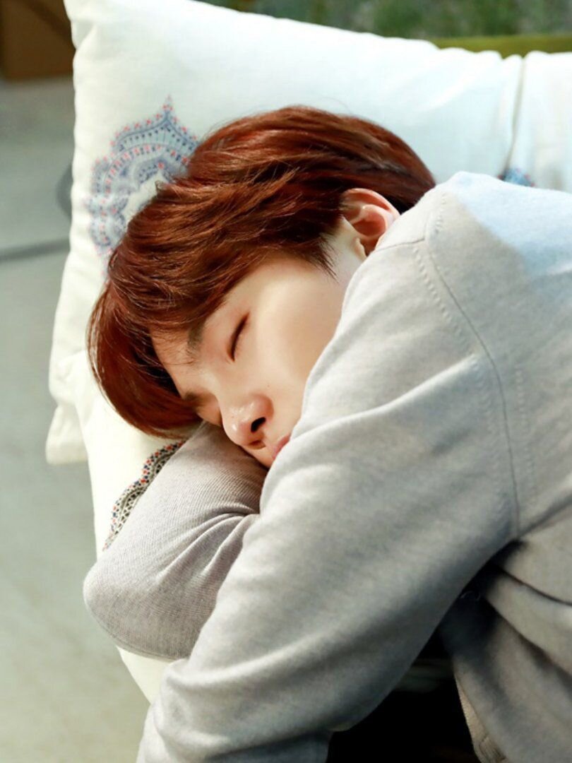 (все фото и гиф взяты в свободном доступе, в интернете)