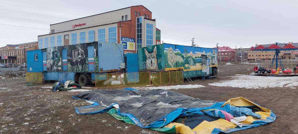    Прибывший в Сорочинск зоопарк «Барс» использует животных с нарушением закона Марина Шарт