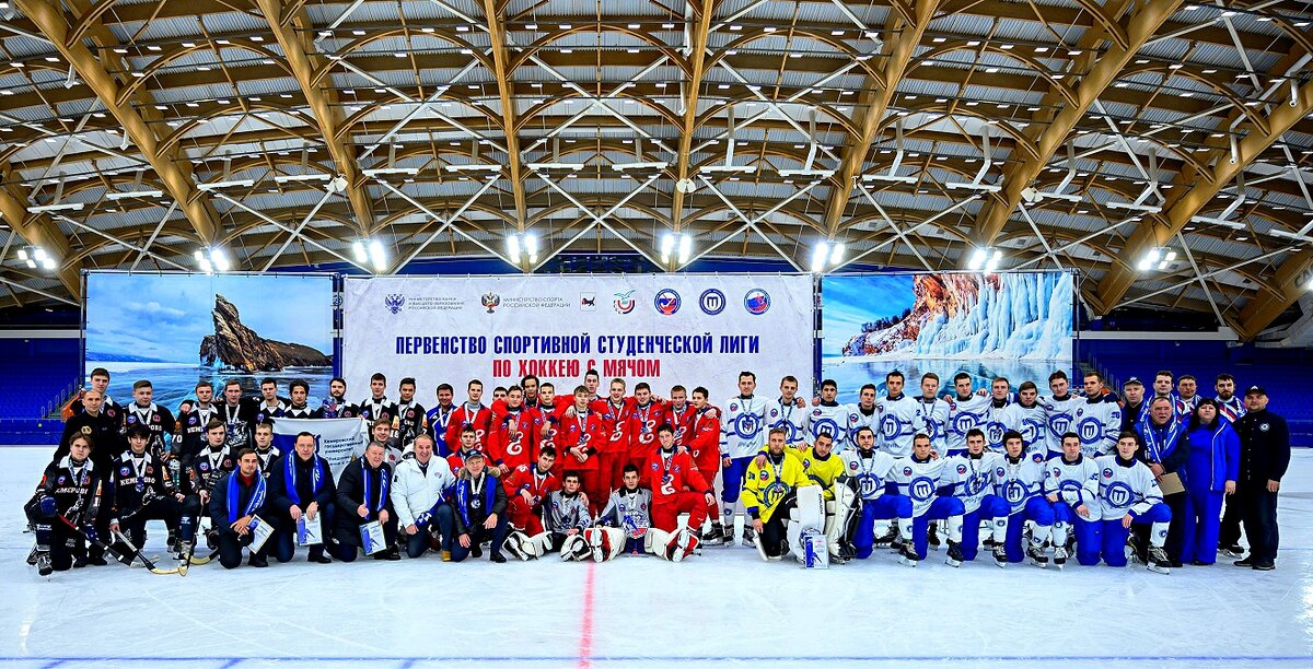 Хоккей с мячом