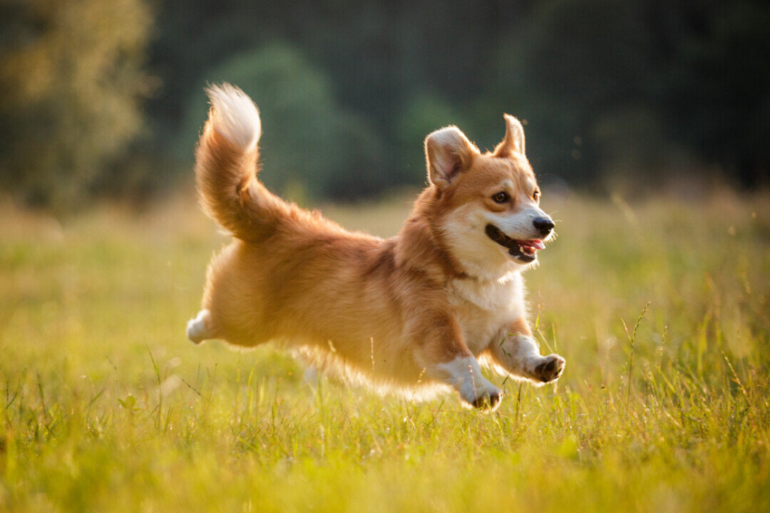    Фото: Shutterstock.com