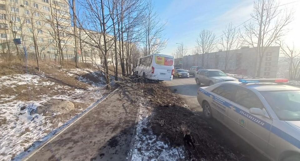     Фото: пресс-служба ОГИБДД УМВД России по городу Владивостоку