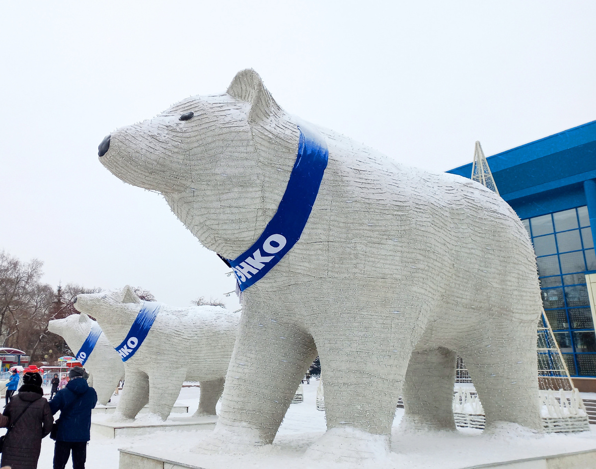 Семья медведей