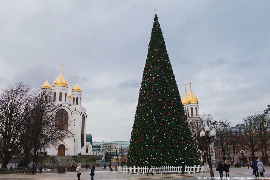 Фото: Виталий Невар / Новый Калининград