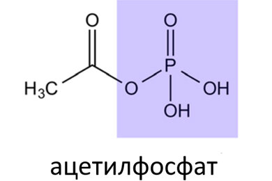 Рисунок 1 (Структурный рисунок Ацетилфосфата)