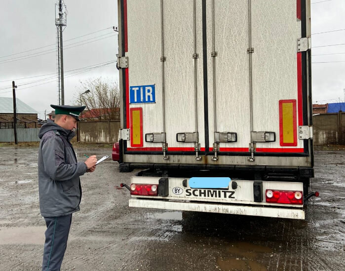    В Оренбуржье пресекли ввоз более 55 тонн семян подсолнечника и люцерны из Казахстана Елена Шкатова