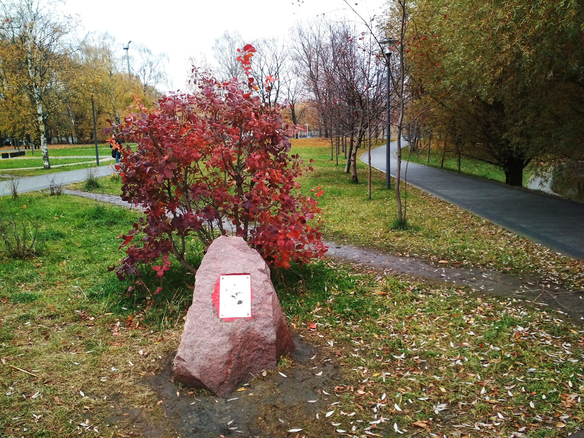 Аллея осенью