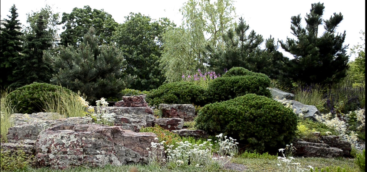 Выставочный сад №1. Фото автора.