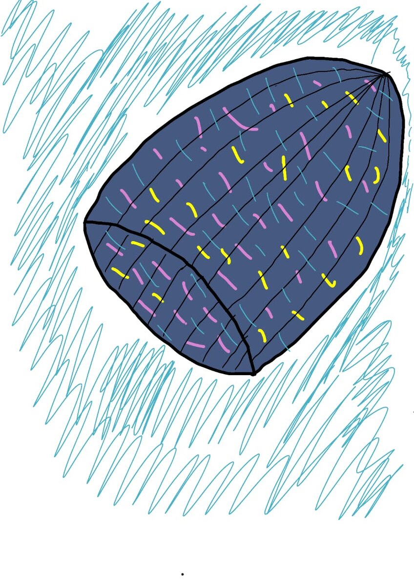 Я не художник, я только учусь 