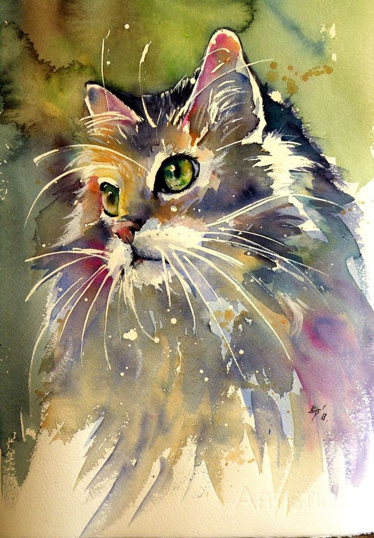 яндекс.картинки