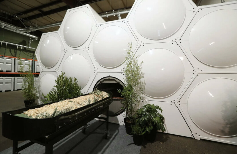 environmentat5280.org