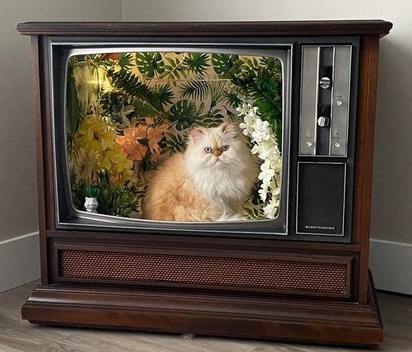 Фото © Reddit / Beneficial_Exchange6