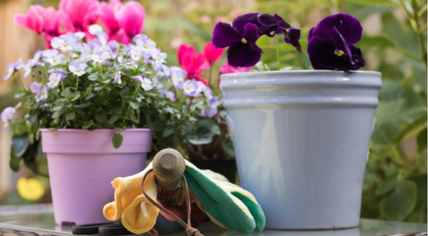 Садовый инструмент