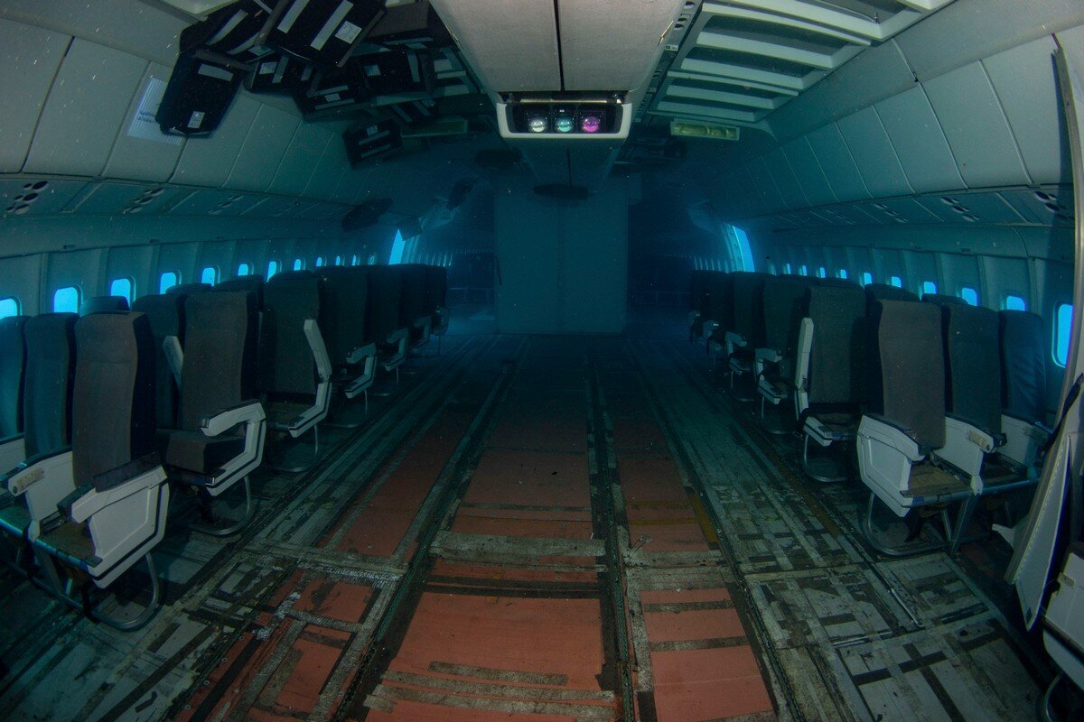 Фотографии действительно завораживают. Источник фото: https://zefirka.net/2019/09/13/v-iordanii-zatopili-samolet-chtoby-on-stal-razvlecheniem-dlya-dajverov/