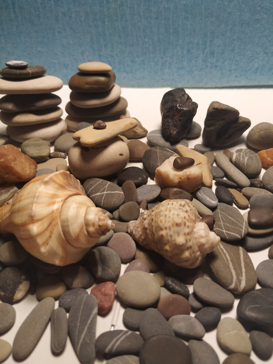 Личный архив.