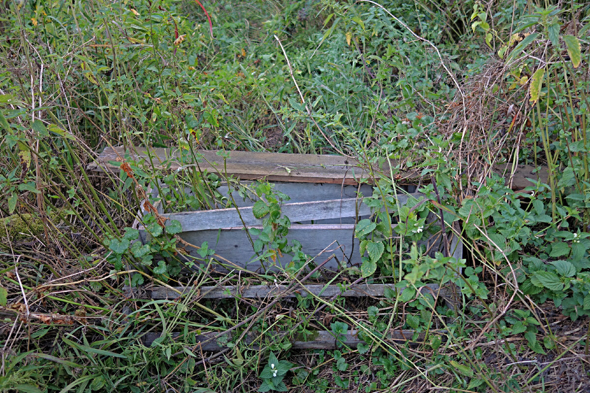 Погода село сергиевское