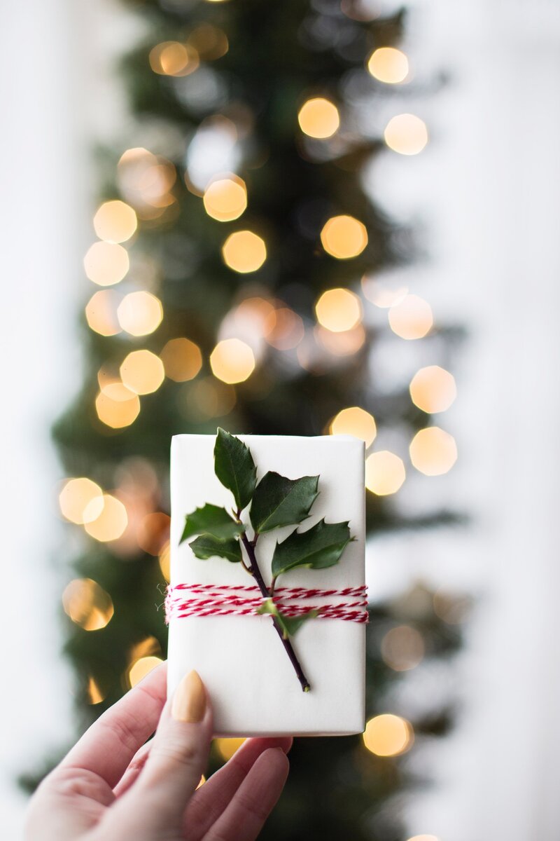 https://unsplash.com/@karishea   